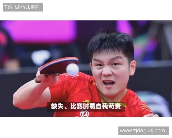 樊振东再谈饭圈文明:酒店闯入事情让我很惊慌,看演唱会也能变成争议性事情